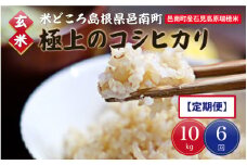 令和6年産【玄米】【定期便6回】邑南町産石見高原瑞穂米10kg（5kg×2）