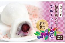 【期間限定】和菓子職人がつくるブルーベリー大福6コ入　2パック　