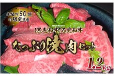 【黒毛和牛】石見和牛たっぷり焼肉セット1.2kg