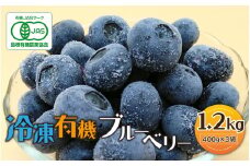 冷凍 有機ブルーベリー 1.2kg（400g×3袋）
