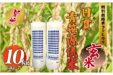 【令和6年産】新米予約【玄米】特別栽培米コシヒカリ 日貫青笹源流米 10kg（5kg×2袋）令和6年10月よりお届け