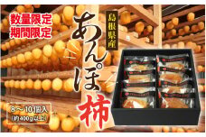 【期間・数量限定】あんぽ柿 　8個～10個入り（約400g以上）
