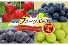 【数量限定】新鮮フルーツの定期便　年4回お届け