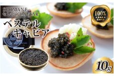 キャビア「ベステル」10g