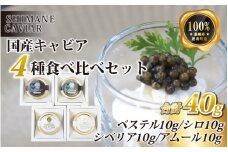 キャビア4種食べ比べセット計40g（4種各10g）