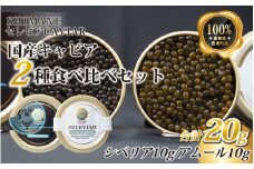 キャビア2種セット計20g（シベリア10ｇ・アムール10ｇ）