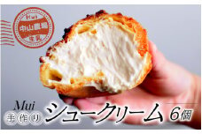 【中山農場生乳】手作り シュークリーム 6個
