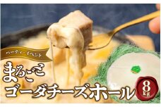 まるごと ゴーダチーズホール 8kg