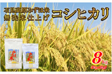 令和6年産 石見高原みずほ米コシヒカリ 無洗米仕上8kg（5kg＋3kg）
