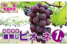 先行予約【糖度18度以上！】種無しピオーネ約1kg  9月中旬よりお届け