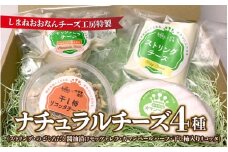 ナチュラルチーズ4種（ストリング・のどぐろだし醬油漬けモッツァレラ・カマンベールハーフ・干し柿入りリコッタ）