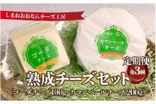 【定期便3回】熟成チーズセット（ ゴーダチーズ100g・カマンベールチーズ200g）