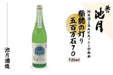 純米酒 INAKAイルミ 宇都井 稲穂の灯り 五百万石 70 720ml　池月酒造