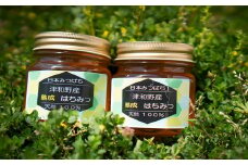 ＜希少品＞自然のまま2年熟成させた100%天然の生はちみつ　300g×2個【1209310】