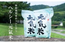 高津川の恵み 特別栽培米ヘルシー元氣米2kg×2袋(4kg)(令和6年産)【1209634】