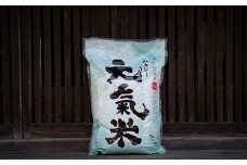 高津川の恵み 特別栽培米ヘルシー元氣米5kg(令和6年産)【1209636】