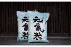 高津川の恵み 特別栽培米ヘルシー元氣米5kg×2袋(10kg)(令和6年産)【1209635】
