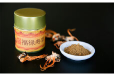 ＜国産＞津和野式100%冬虫夏草粉末「福禄寿草」＜30g＞【1211529】