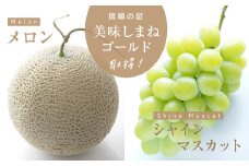 メロン2L1玉シャインマスカット1房セット＜2024年9月発送＞【1212156】