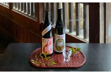 ＜飲み比べ祝いセット＞清酒「初陣」の純米しぼりたて生酒と純米吟醸の飲み比べセット【1214344】