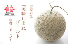 メロンパークのメロン＜2025年9月発送・2Lサイズ1玉＞【1264385】