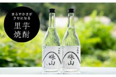 特産のとろりとしてねばりけのある里芋でつくった里芋焼酎＜大(720ml)×2本＞【1341167】