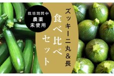 ＜2025年6月中旬より順次発送＞＜数量限定＞栽培期間中農薬不使用「長&丸ズッキーニ食べ比べ」【1410942】