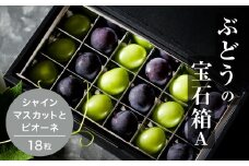 『ぶどうの宝石箱A』(2品種)＜2024年9月より順次発送/ふるさと納税限定/数量限定＞【1458785】