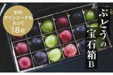 『ぶどうの宝石箱B』(3品種)＜2025年9月より順次発送/ふるさと納税限定/数量限定＞【1458789】