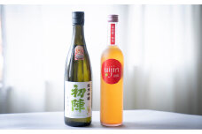 ＜2本セット＞最高金賞受賞の『初陣 純米吟醸』×日本酒ベースの梅酒【1473138】