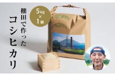 青野山の湧水と朝晩の寒暖差が育んだ棚田の甘～い米「コシヒカリ」(白米5kg×1袋)(令和6年度産)【1524991】