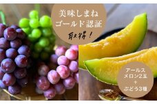 ＜2025年9月より順次発送・先行受付＞アールスメロン2L2玉+ぶどう3種のフルーツ堪能セット【1553256】