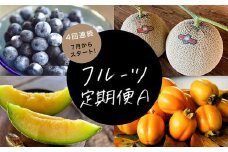 ＜発送月固定定期便＞フルーツ定期便A 旬の美味しい果物を毎月1種 全4回【4014407】