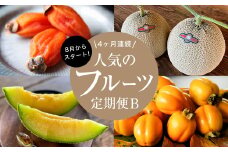 ＜発送月固定定期便＞フルーツ定期便B 旬の美味しい果物を毎月1種 全4回【4014406】