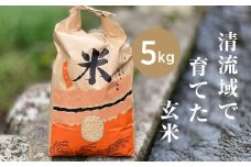 山間の清流を引き込んだ田んぼで作った「きぬむすめ玄米」5kg(令和7年)【1573255】