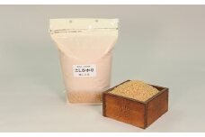 ＜毎月定期便＞津和野産こしひかり一分づき玄米 2kg全12回【4062032】
