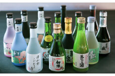 ＜発送月固定定期便＞《地酒飲み比べ》3つの蔵元・ミニボトル3本セット(偶数月発送)全6回【4064203】