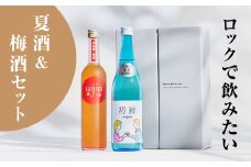 ＜2本セット＞夏期限定『初陣・純米生貯蔵酒』×日本酒ベースの梅酒『Uijin』【1629534】