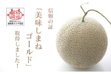 メロンパークのメロン＜2026年8月より順次発送・2Lサイズ1玉＞【1666374】