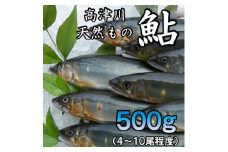 高津川天然あゆ冷凍　500g(吉賀町)【1259201】