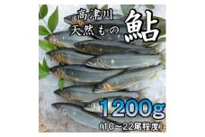 高津川天然あゆ冷凍　1200g(吉賀町)【1259205】