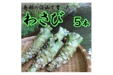 根わさび 5本(真空パック入り)【1259672】