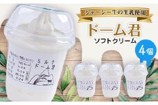 ジャージー牛の生乳を使用したソフトクリーム　ドーム君　4個入り【1260014】