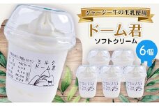 ジャージー牛の生乳を使用したソフトクリーム　ドーム君　6個入り【1260021】