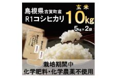 ＜栽培期間中化学肥料・化学農薬不使用＞令和6年産R1米コシヒカリ10kg(玄米)【1448684】