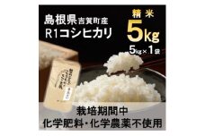 ＜栽培期間中化学肥料・化学農薬不使用＞令和6年産R1米コシヒカリ5kg(精米)【1448692】