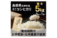＜栽培期間中化学肥料・化学農薬不使用＞令和6年産R1米コシヒカリ5kg(精米)【1448692】