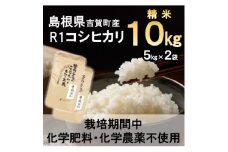 ＜栽培期間中化学肥料・化学農薬不使用＞令和6年産R1米コシヒカリ10kg(精米)【1448701】