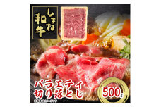 しまね和牛　バラエティ切り落とし　500g【1463373】