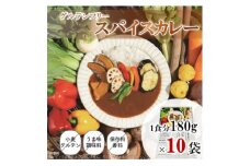 スパイスカレー　レトルト　180g×10袋【1534743】